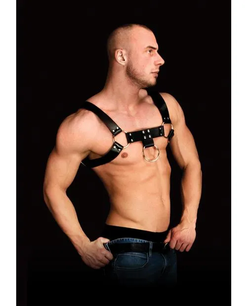Costas Chest Harness