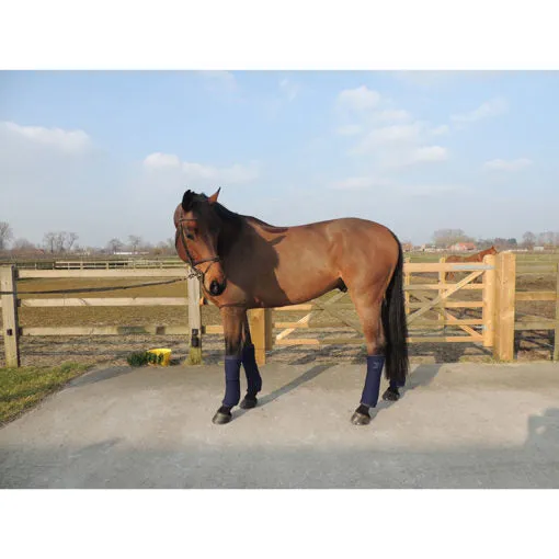 Kentucky Quilted Stable Bandage Pads
