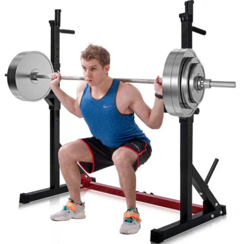 Multi-Function Dipping Station Squat Stand