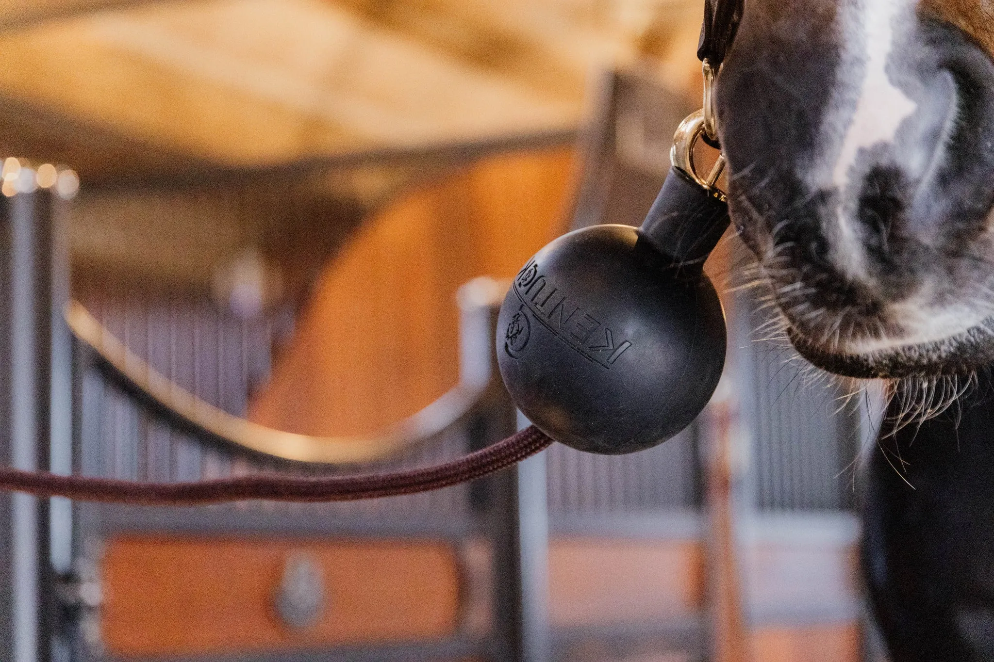 Wall and Lead Protection Rubber Ball